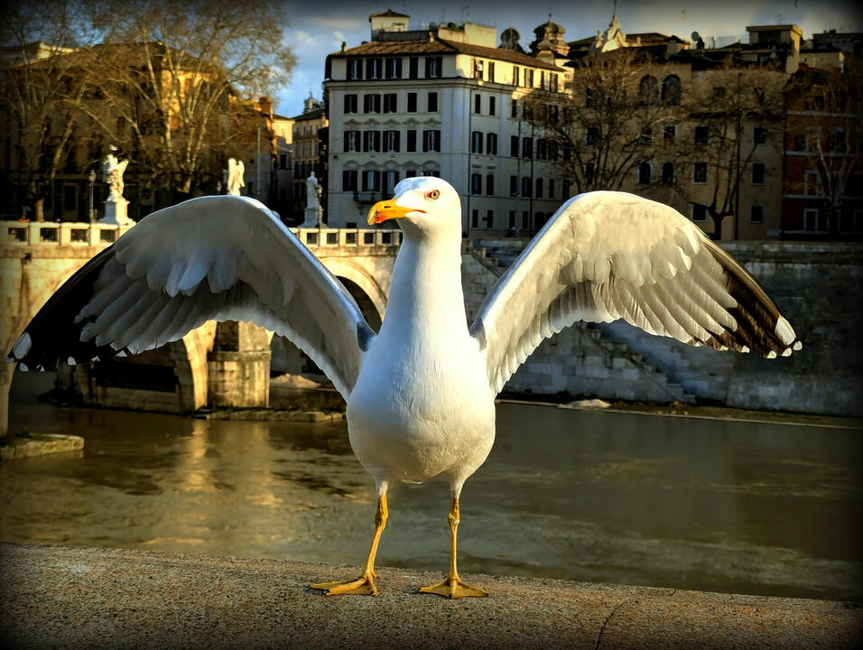 ...when you come to it